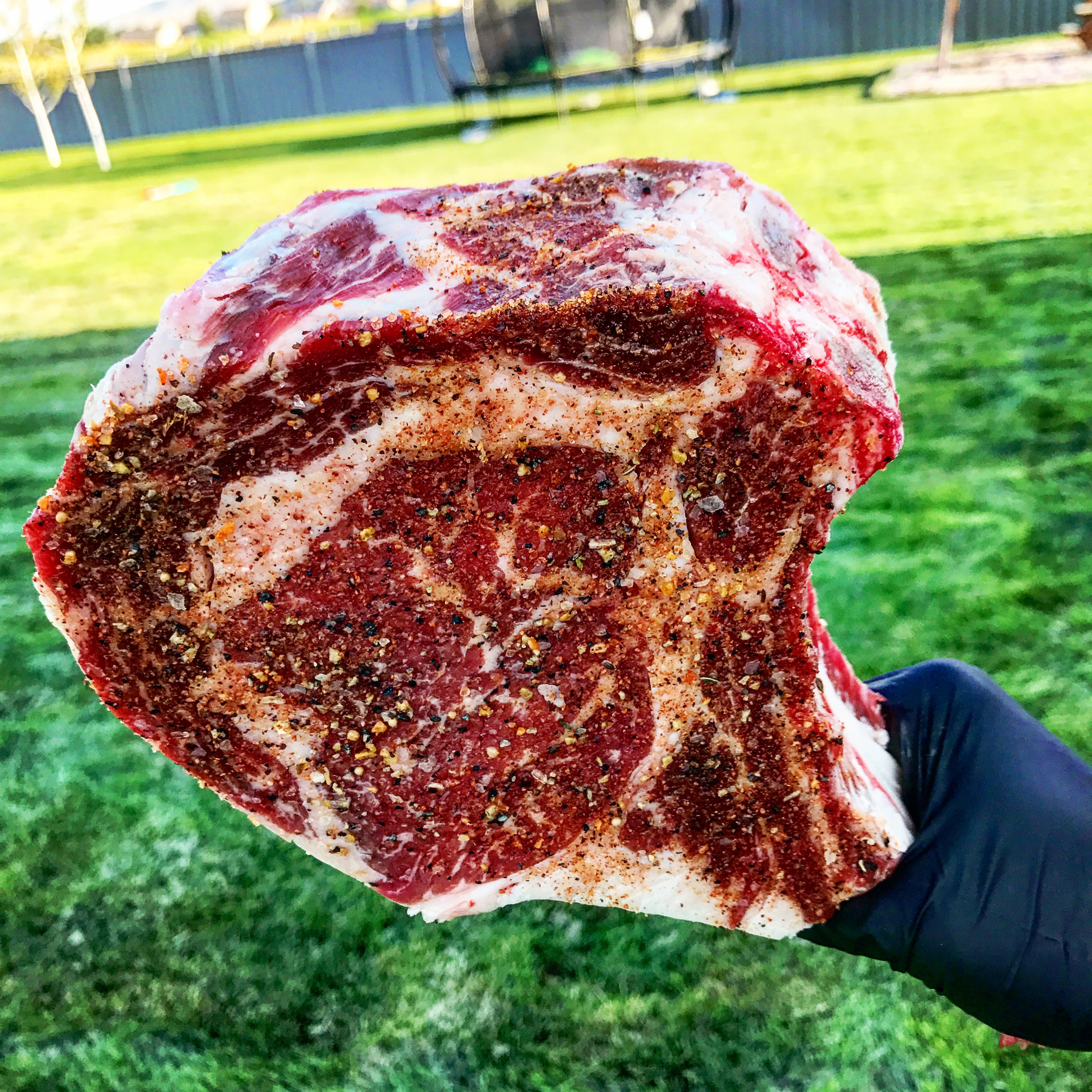 This massive meat lollipop rubbed and ready for the low and slow. 