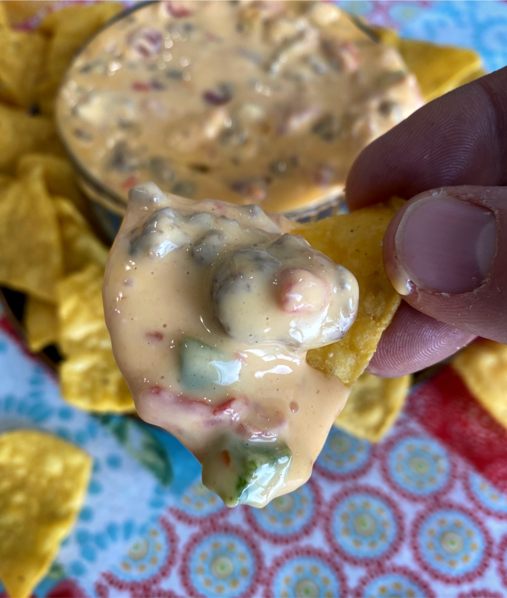 Smoked Queso Dip Learning To SmokeLearning To Smoke